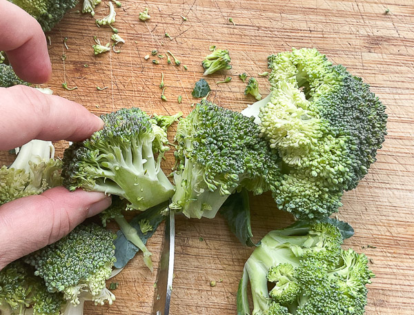 Couper les gros fleurons de brocoli en deux (ou en quatre s'ils sont très gros) afin d'obtenir des morceaux de taille similaire pour une cuisson uniforme.